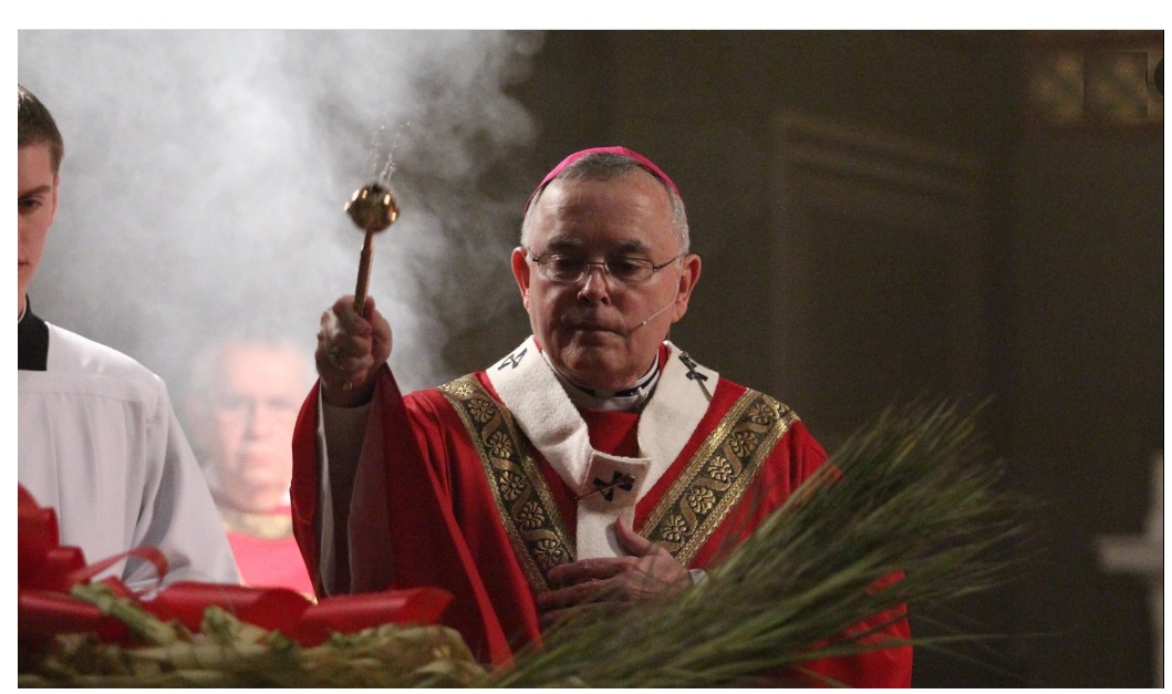 «I cardinali, eleggendolo, chiesero a Francesco la riforma della curia, non della Chiesa»